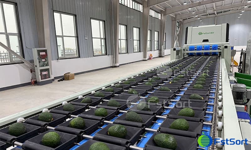 fruit optical sorting machine.jpg fruit optical sorting machine.jpg